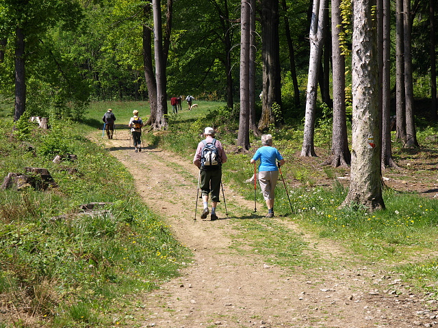 Zjezd do Ondejovic - Pochod Zlatohorskem. Vedouc zjezdu Jiina Skivnkov. Foto Lenka vbov, Vojta a kolemjdouc.