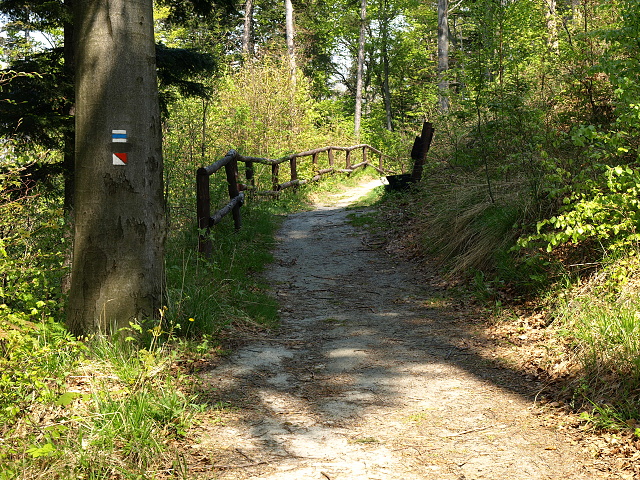 Zjezd do Ondejovic - Pochod Zlatohorskem. Vedouc zjezdu Jiina Skivnkov. Foto Lenka vbov, Vojta a kolemjdouc.