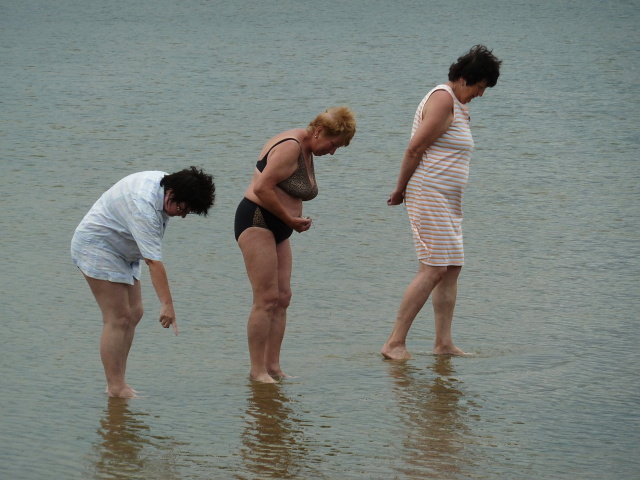 Ze zjezdu do Chorvatska 1. a 10. 6. 2012 Vedly Zdeka Dakov a Jiina Skivnkov, foto Hana Krausov, Slvka Krej, Mojmr Kaluk a dal