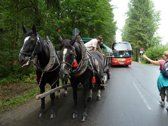 Ze zjezdu - esk vcarsko_Den 3._vedli Z.Dakov a F. Ondrek, foto V.Vidrmanov+S.Krej