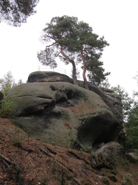 Ze zjezdu - esk vcarsko_Den 4._vedli Z.Dakov a F. Ondrek, foto V.Vidrmanov+S.Krej