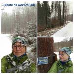 20210322_Cesta na sever-Anika